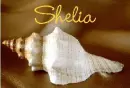 Shelia