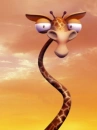 Tall And Nice