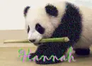 Hannah