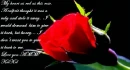 You've stolen my heart!