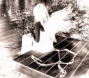 fairy