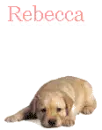 Rebecca