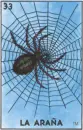 Loteria araÃ±a spider