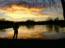 sunet 03