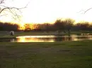 golf cart and pond