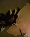 mask & wings