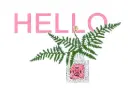 Hello
