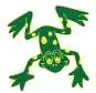 green and yellow frog