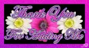ThankYou for Adding Me
