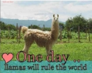 llamas will rule the world