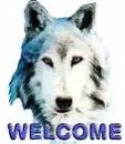 Wolf Wlecome