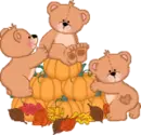 pumpkins & bears