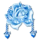 Shazia-Blue Rose