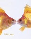 kiss me