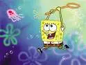 spongebob