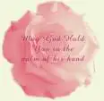 rose background