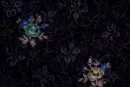 Pretty roses