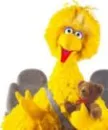 bigbird