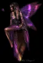 miranda fairy
