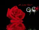 heandcuff roses