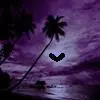 dark beach