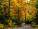 fall