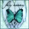 fly