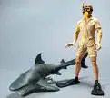 Steve Irwin