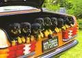 Rottweilers