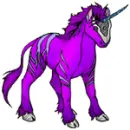 not horse