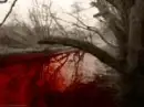 blood