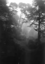 Beautiful Darkness