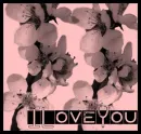 I love you