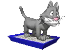 Cat kicking litterbox