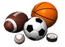 Major sports soccer focus