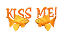 kissing fish