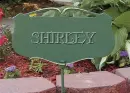 shirley