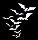 bats