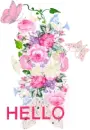 Hello