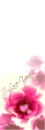 pink flower