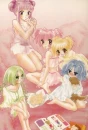 tokyo mew mew
