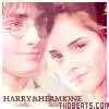 harry potter/hermione granger