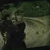 lily and james potter