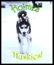 holmes huskies !