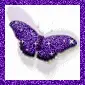 purple butterfly