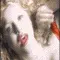 courtney love