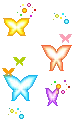 butterflys