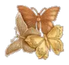 gold butterflys