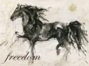 Wild and Free