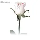 bleed like me